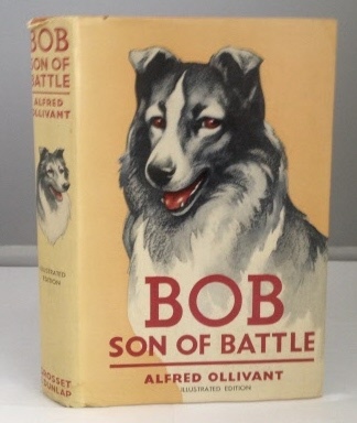 Image for Bob Son of Battle (Illustrated Edition)