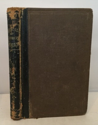 Image for A Manual Of American Ideas